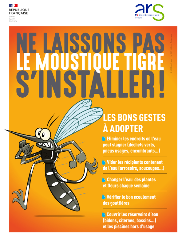 Affiche moustique tigre